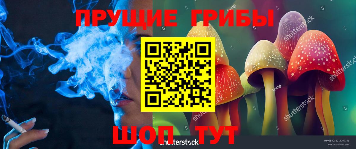 Галлюциногенные грибы Psilocybe Химки