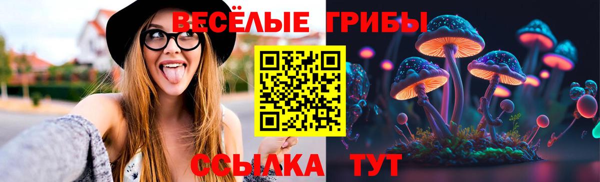 Галлюциногенные грибы мицелий  Вход с VPN  Химки 